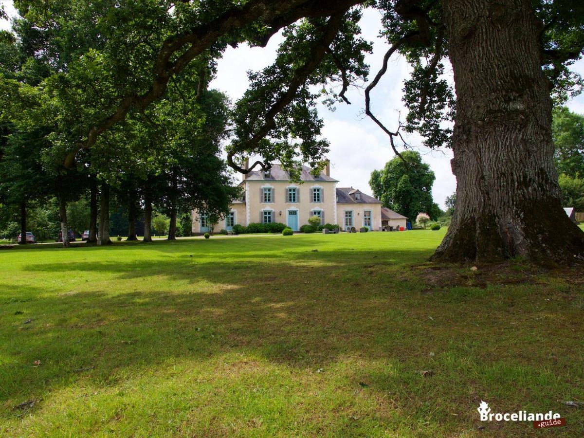 Chateau Du Pin - Teritoria Iffendic Buitenkant foto
