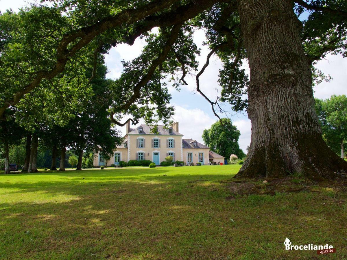 Chateau Du Pin - Teritoria Iffendic Buitenkant foto